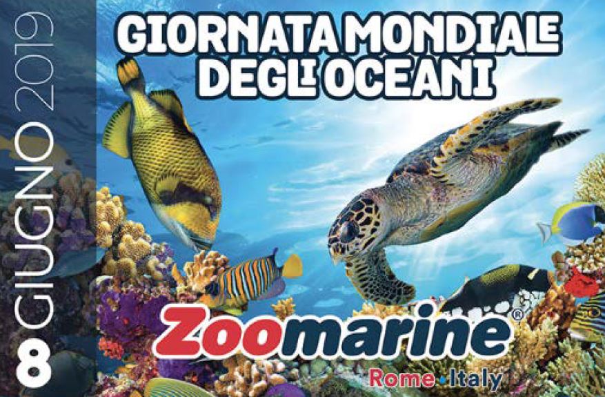 Giornata Mondiale degli Oceani: Zoomarine – 08/06/2019