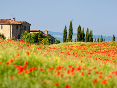 Nuova convenzione con Agricamper Italia – 50% di sconto per i soci